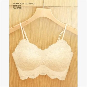 26n0812【鄉丫頭嚴選】貝蓓雅女士內衣  3836