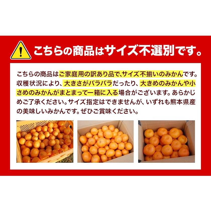 みかん 送料無料 10kg 訳あり 内容量9kg 補償分500g  規格外 サイズ不選別 熊本県産  極早生 は緑色傾向 ミカン 蜜柑 ご自宅用 ポイント消化