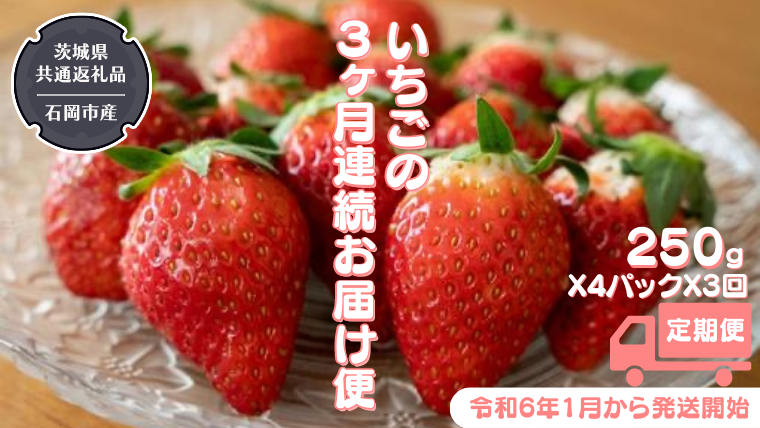  合計3kgお届け いちご の3ヶ月連続お届け便　（1回：250g×4パック）×3回 （県内共通返礼品：石岡市産） 果物 フルーツ イチゴ 苺 白いちご 白苺 とちおとめ 白いちご 紅ほっぺ やよいひめ 定期便 [BI346-NT]