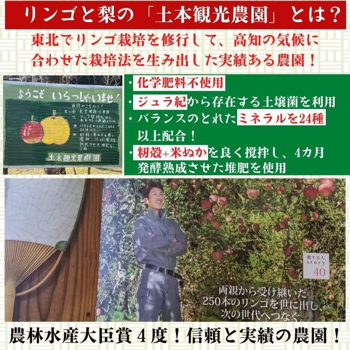 2024年度予約 高知県産 りんご ふじ  減農薬  有機肥料 8玉入 土本観光農園 ギフト 産地直送