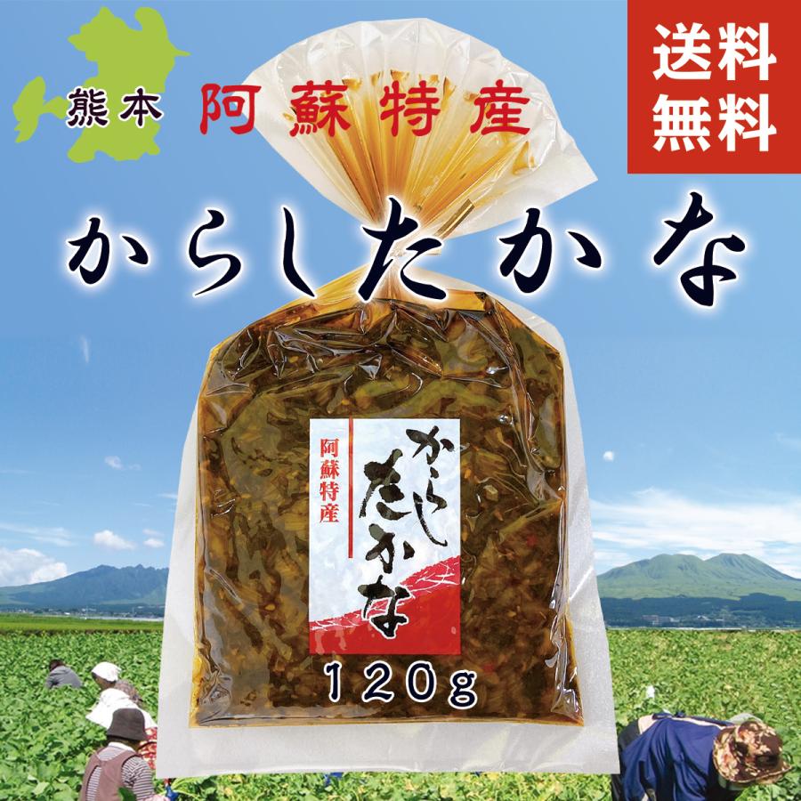 高菜 からし高菜 高菜漬け 120g 熊本 漬物 お取り寄せ たかな漬