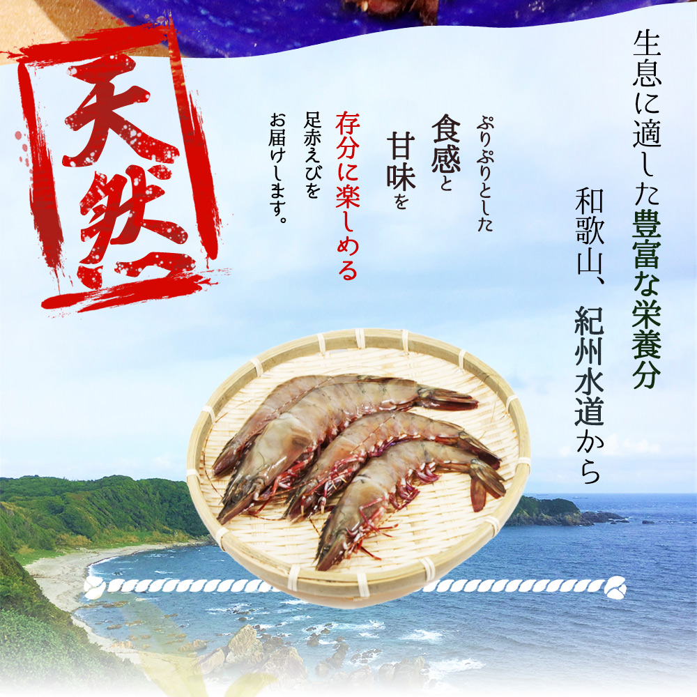 紀州和歌山産天然足赤えび540g（270g×2パック）化粧箱入 ※2023年11月上旬～2024年2月下旬頃順次発送予定（お届け日指定不可）