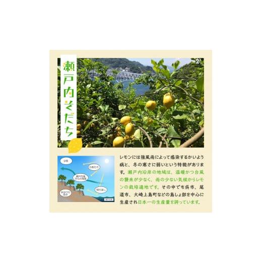 ふるさと納税 広島県 呉市 大崎下島産 栽培期間中農薬不使用 瀬戸内レモン 10kg