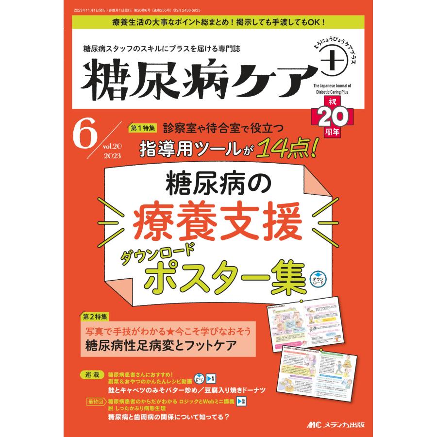 糖尿病ケア 糖尿病スタッフのスキルにプラスを届ける専門誌 第20巻6号