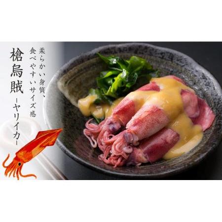 ふるさと納税 ボイルヤリイカ 約１.５kg（300g × ５袋）セット（到着日時指定必須商品）小分け 三重県尾鷲市 人気 大満足 返礼品  MT-9 三重県尾鷲市