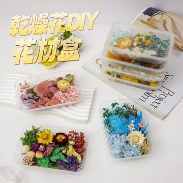 現貨隔日達🔥乾燥花DIY材料包 花材盒 不凋花 純天然 永生花 浮游花 乾花 植物果實 乾燥花材 花藝材料包 教師節手作