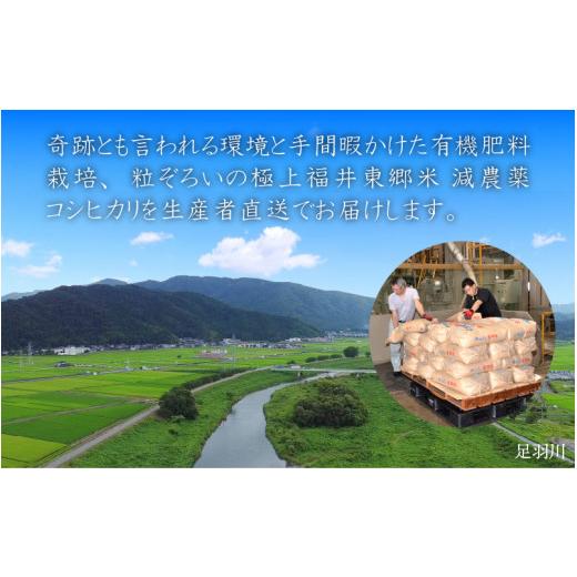 ふるさと納税 福井県 福井市 令和5年産 ふくい東郷米 特別栽培米 減農薬コシヒカリ 3kg×12ヶ月 合計36kg[H-020011_01]