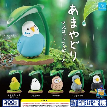 【許願扭蛋機】11月『預購』 躲雨動物 全6種 扭蛋 轉蛋 Qualia 鳥 貓頭鷹 鸚鵡 躲雨 公仔