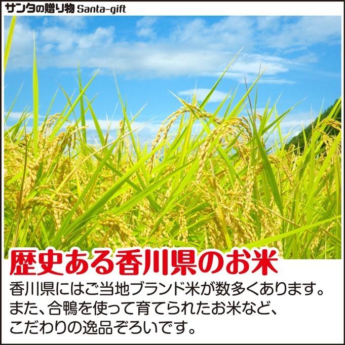 5kg 新米 香川県産 コシヒカリ 令和4年産 白米 3日営業日以内に発送 送料無料