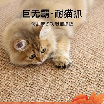⚡爆款下殺⚡ 可客製化 防貓抓地墊 日式地墊 耐磨地墊 仿劍麻防貓抓地墊 巨無霸貓地毯 貓抓地毯 大尺寸貓地毯 ZAD