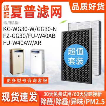適配夏普空氣凈化器KC-WG/GG30/FU-W40AB/AW/AR/GS/GD濾網濾芯N/W
