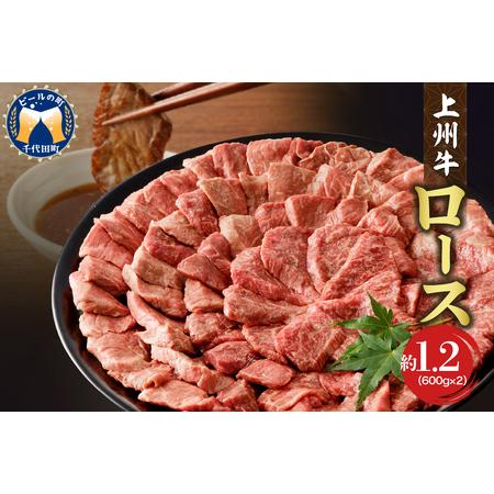 ふるさと納税 牛肉 ロース  1.2kg（600g×2パック）  群馬 県 千代田町 群馬県千代田町