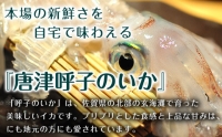 唐津呼子産いか活造り 1杯(約250g前後) 急速冷凍 新鮮そのまま食卓へ！イカ 刺身 簡単 ギフト