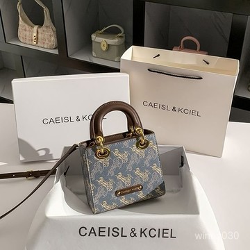 💛限時下殺💛CAEISL&KCIEL小衆設計手提包馬車戴妃單肩2024新款高級手提斜挎包