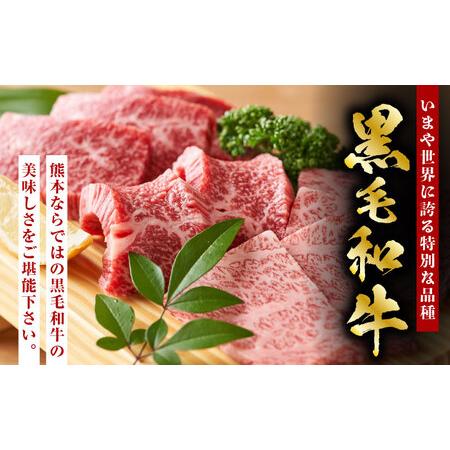 ふるさと納税 熊本県産 黒毛和牛 焼肉用 食べ比べ セット 約900g 熊本県産  数量限定  食べ比べ 焼.. 熊本県山鹿市