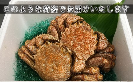 北海道 噴火湾産 冷凍 ボイル 毛がに 約300g×2尾