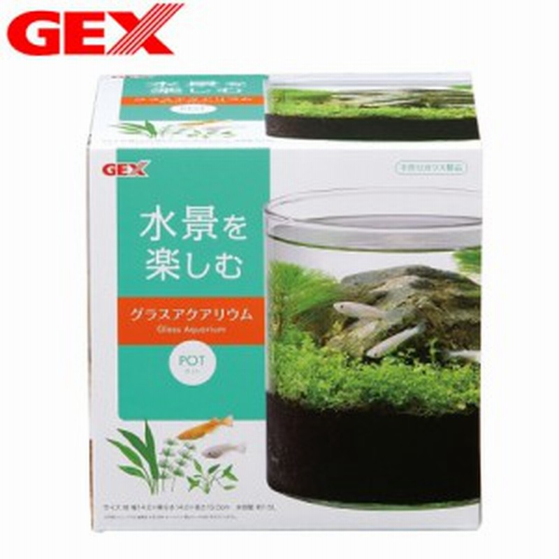 Gex グラスアクアリウム ポット 水槽セット 飼育セット インテリア水槽 小型水槽 新着 水槽 熱帯魚 観賞魚 飼育 セ 通販 Lineポイント最大1 0 Get Lineショッピング