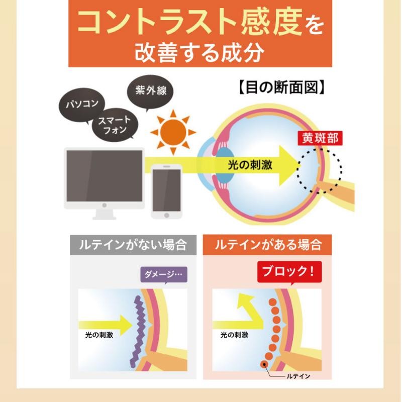 ルテイン サプリメント アイケア 目 ドライ めなり極 ブルーベリー ...