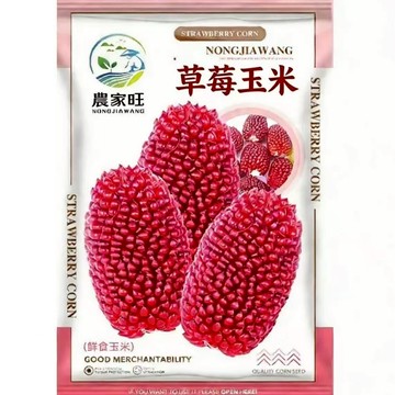 🔥「台灣搶鮮首發」國審草莓玉米種子｜非轉基因 可生吃爆米花｜迷你香甜 陽台可種｜新奇趣味 親子首選｜附簡易種植教程｜現貨