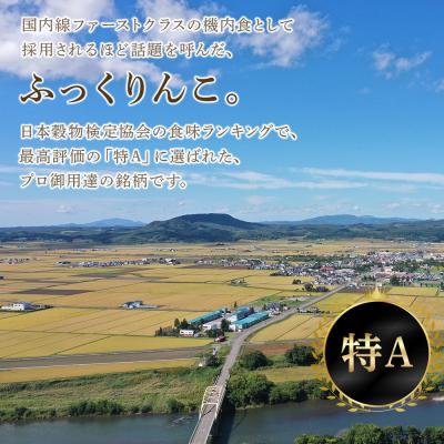 ふるさと納税 千歳市 北海道産ふっくりんこ 5kg