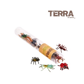 TERRA 昆蟲(拿手罐)