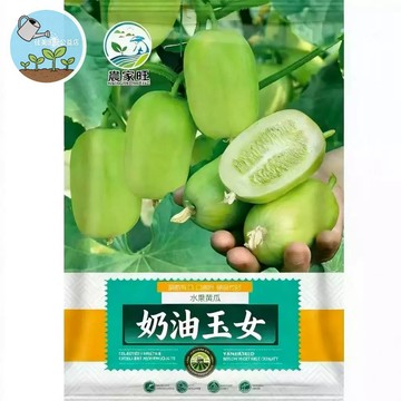 【原廠包裝】玉女小黃瓜種子（Jade Girl Cucumber）生吃涼拌首選！皮薄無刺超脆甜 台灣夏季必種 陽台盆栽