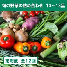 土佐野菜の旬の野菜詰め合わせ　10～13品目全12回