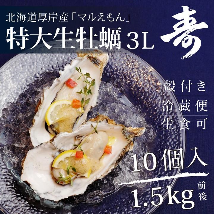 牡蠣 殻付き 北海道 厚岸 冷蔵 マルえもん 3L 10個セット 生食可 未冷凍