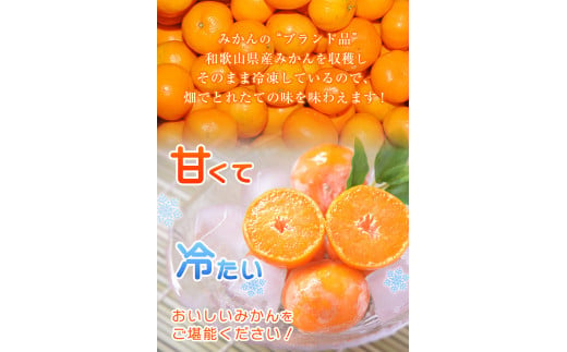 ご家庭用 冷凍みかん 約5kg サンファーム《30日以内に順次出荷(土日祝除く)》和歌山県 紀の川市