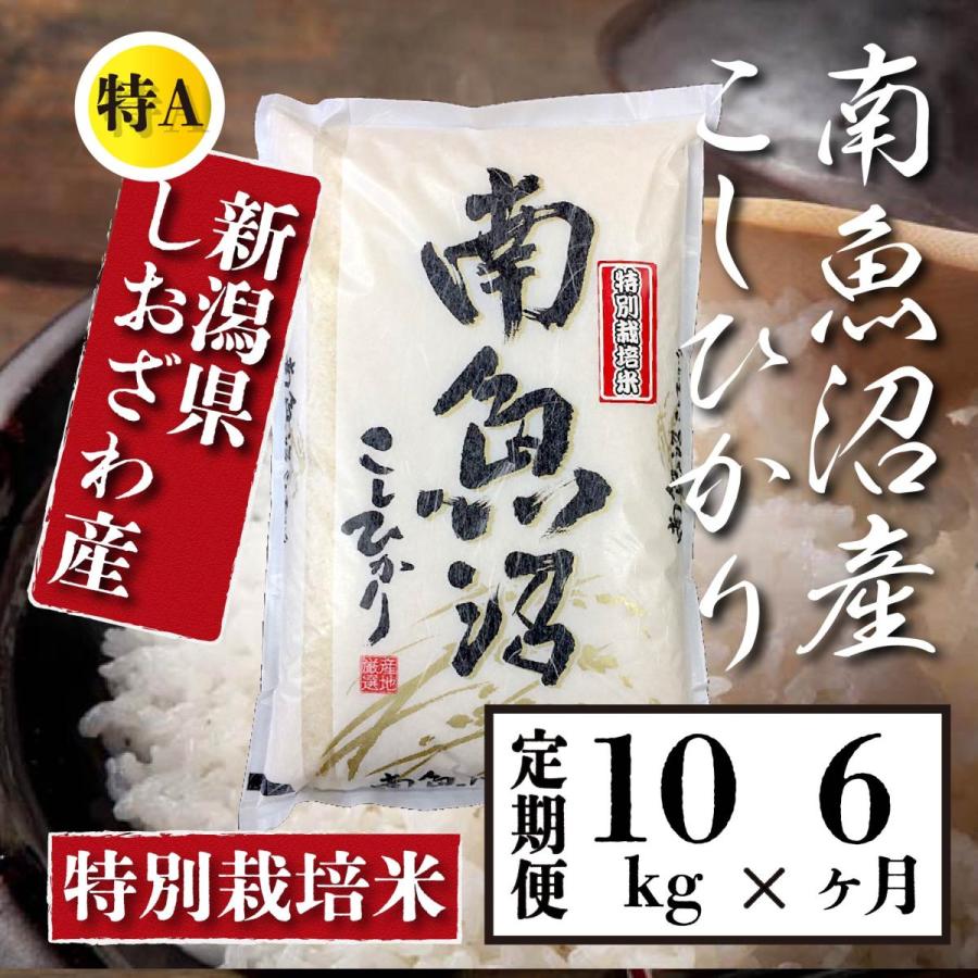  米 10kg 《定期便 6ヶ月》 新潟 南魚沼 塩沢産 コシヒカリ 生産者限定米 令和5年産 