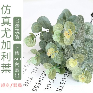 台灣現貨免等拍照道具仿真尤加利葉(一束四支)拍攝背景擺件裝飾拍照道具ig雜貨zakka飾品化