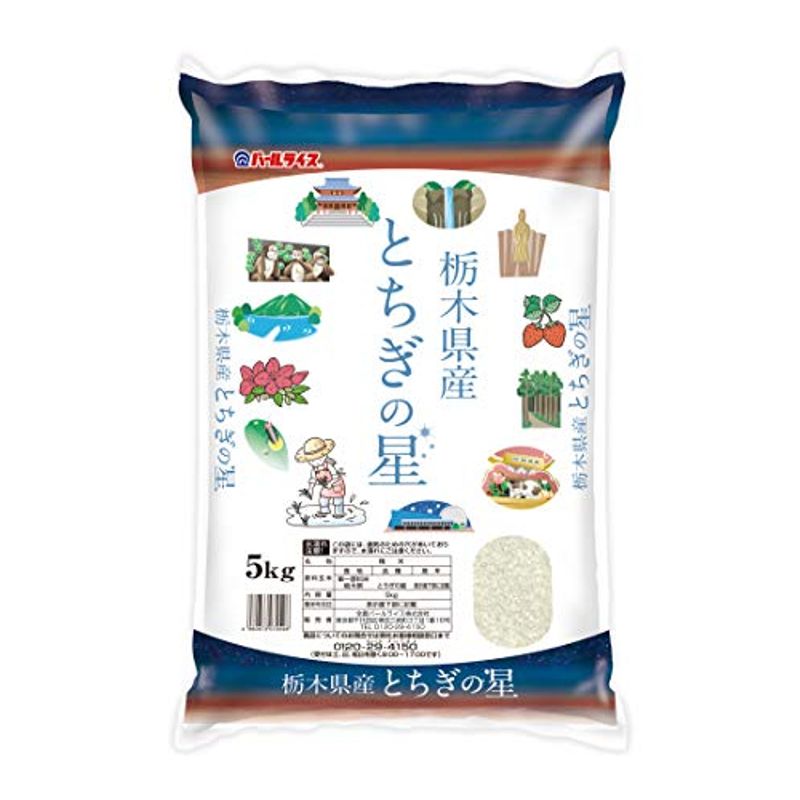 精米栃木県産 白米 とちぎの星 5kg 令和3年産