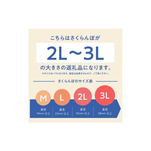 ふるさと納税 山梨県 北杜市 完熟大玉・さくらんぼ（2〜3Lバラ 約700g）