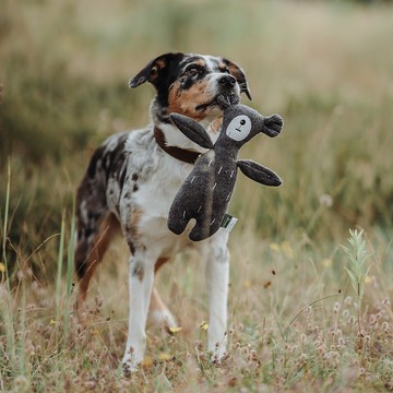 【HUNTER 恆特】療癒羊絨玩偶 - 大耳熊 狗狗玩具