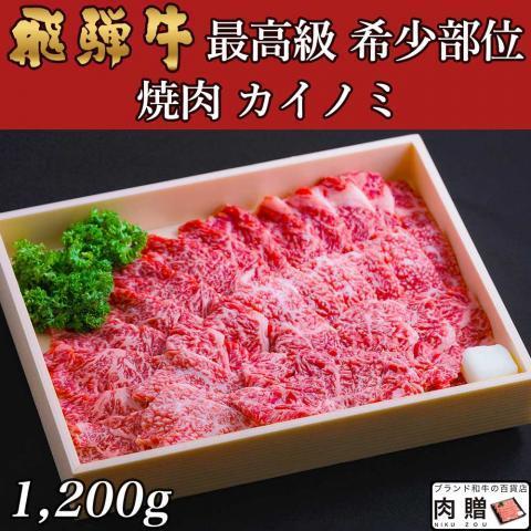 飛騨牛 焼肉 カイノミ ギフト 肉 ヒレ 和牛 国産 牛肉 A5 A4 フィレ 結婚祝い 出産祝い 内祝い お祝い 目録 景品 二次会 1,200g 1.2kg 6〜9人前