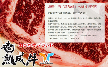 おきなわブランドリブロース＆琉球在来ロースセット　牛肉　黒毛和牛　和牛　熟成　熟成肉　豚肉　アグー豚　アグー