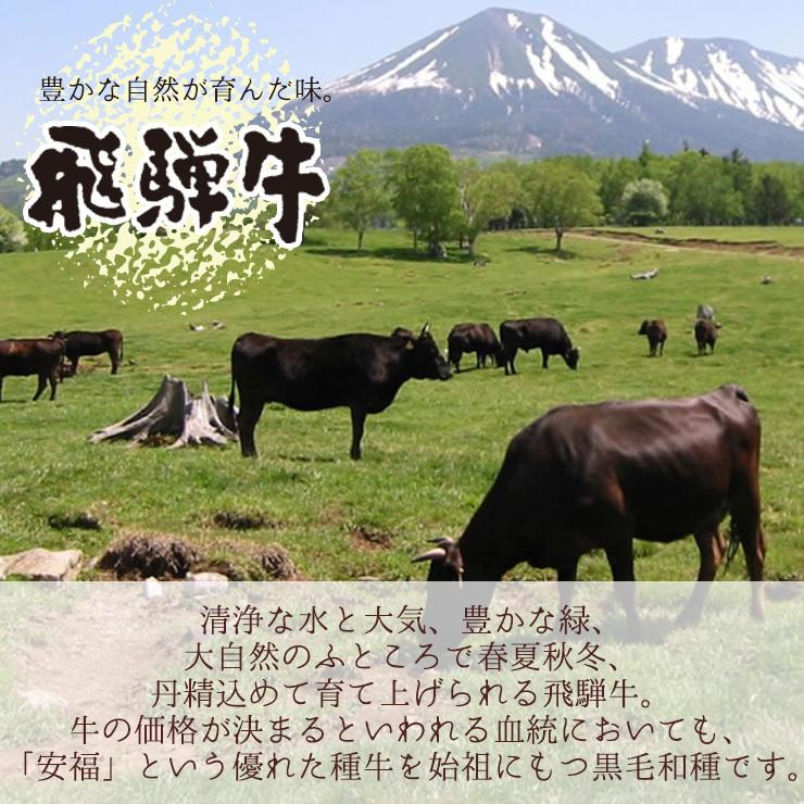 肉 福袋 牛肉 焼肉セット 飛騨牛 メガ盛 カルビ 1.5kg 約6人〜7人 焼肉 焼き肉 黒毛和牛 バーベキュー バーベキューセット