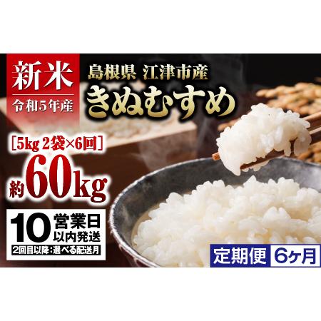 ふるさと納税  島根県 江津市産 邑智郡産 きぬむすめ 10kg×6回令和5年産 新米 白米 島根県江津市