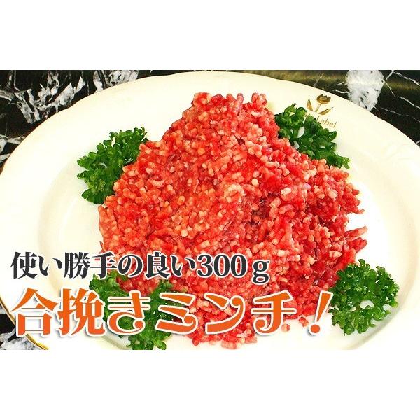 冷凍食品 お弁当 弁当 食品 おかず 惣菜 業務用 家庭用 合挽きミンチ (挽肉300g)