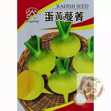 【原裝進口】蛋黃蔓菁種子 黃肉大頭菜 甜面可口 耐熱好種 陽台庭院蔬菜種子