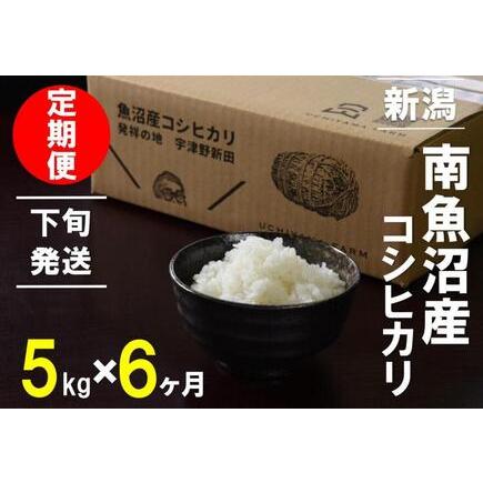 ふるさと納税 5kg×6ヶ月　南魚沼産コシヒカリ　うちやま農園米 新潟県南魚沼市