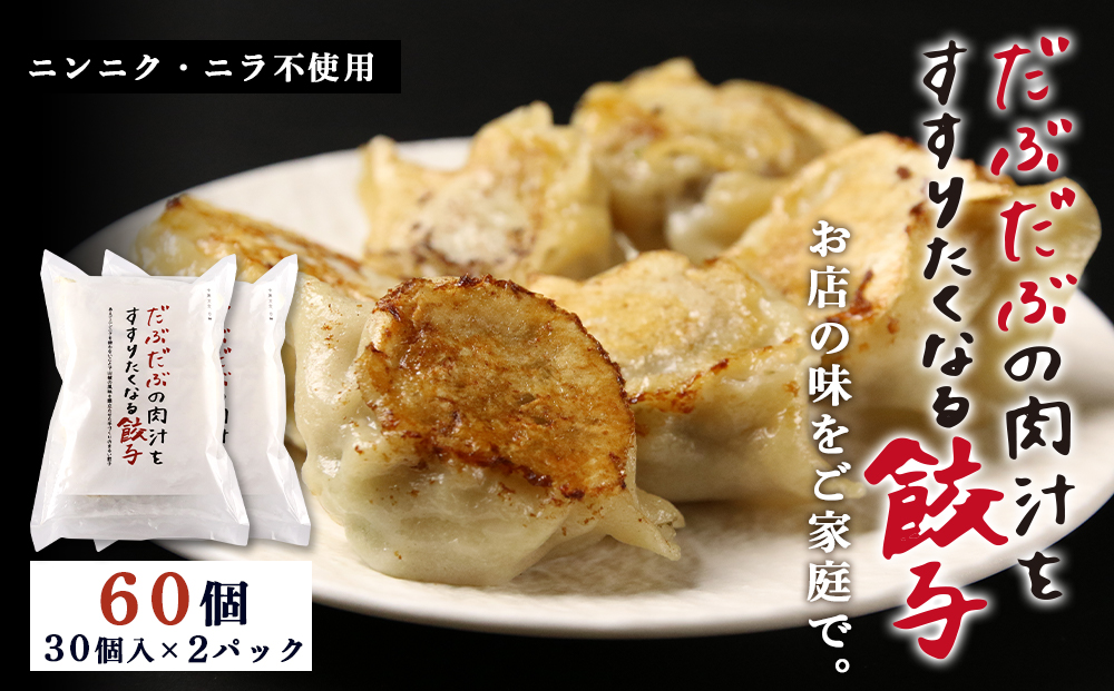 だぶだぶの肉汁をすすりたくなる餃子 60個（30個入×2パック） BE006