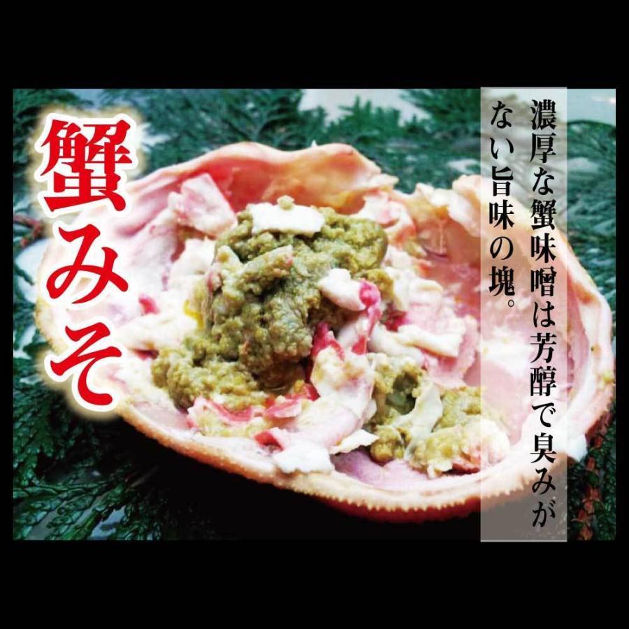 茹で越前がに 1.2kg 1パイ 冷蔵 便 越前ガニ かに カニ 蟹 ズワ イ ズワイガニ お取り寄せ 福井  かに カニ 蟹