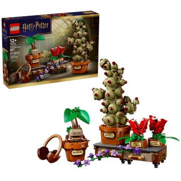 ||高雄 宅媽|樂高 積木|| LEGO“76474 哈利波特-霍格華茲™ 藥草學植物“