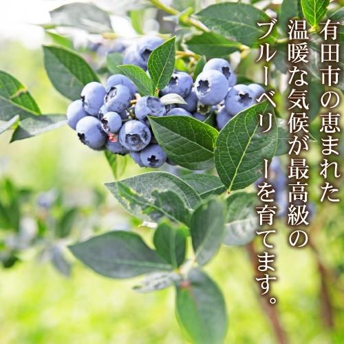 冷凍 ブルーベリー 紀州 和歌山 有田産 フレッシュブルーベリー 500g 減農薬 産地直送 自宅用 国産 果物 フルーツ