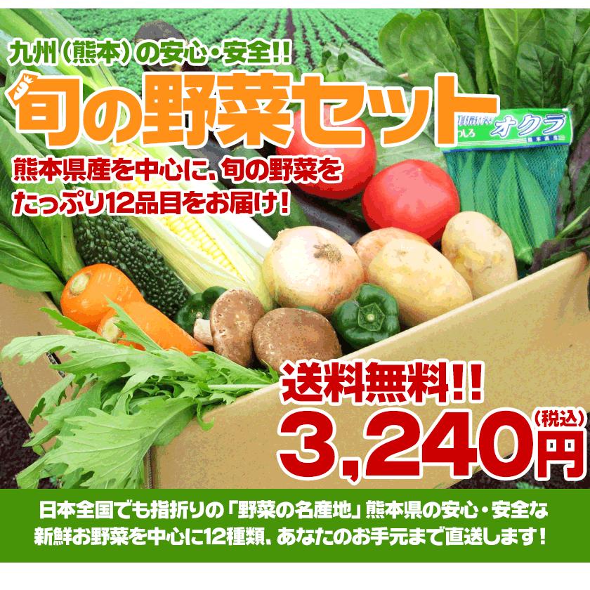 自家用 野菜セット たっぷり12品目 送料無料 熊本 九州 の安心安全 旬野菜 7-14営業日以内に出荷予定(土日祝日除く)