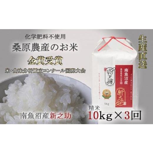 ふるさと納税 新潟県 南魚沼市 （新米予約）桑原農産のお米10kg×3カ月　南魚沼産新之助