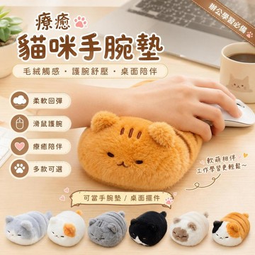 台灣發貨 麵包喵毛絨玩偶 趴趴小貓公仔 貓咪玩偶 玩偶公仔娃娃 掌中寶療癒娃娃 畢業禮物 生日禮物 交換禮物 包包掛件