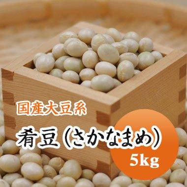 大豆 肴豆 さかな豆 宮城県産 5kg 令和4年産