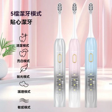聲波清潔軟毛牙刷 霧感機身多種模式情侶高頻振動牙刷 送5刷頭 電動牙刷 成人軟毛牙刷 USB充電 IPX8防水 刷牙